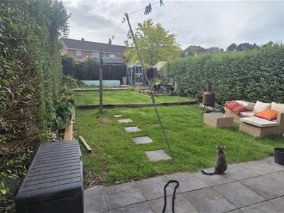 Picture 15